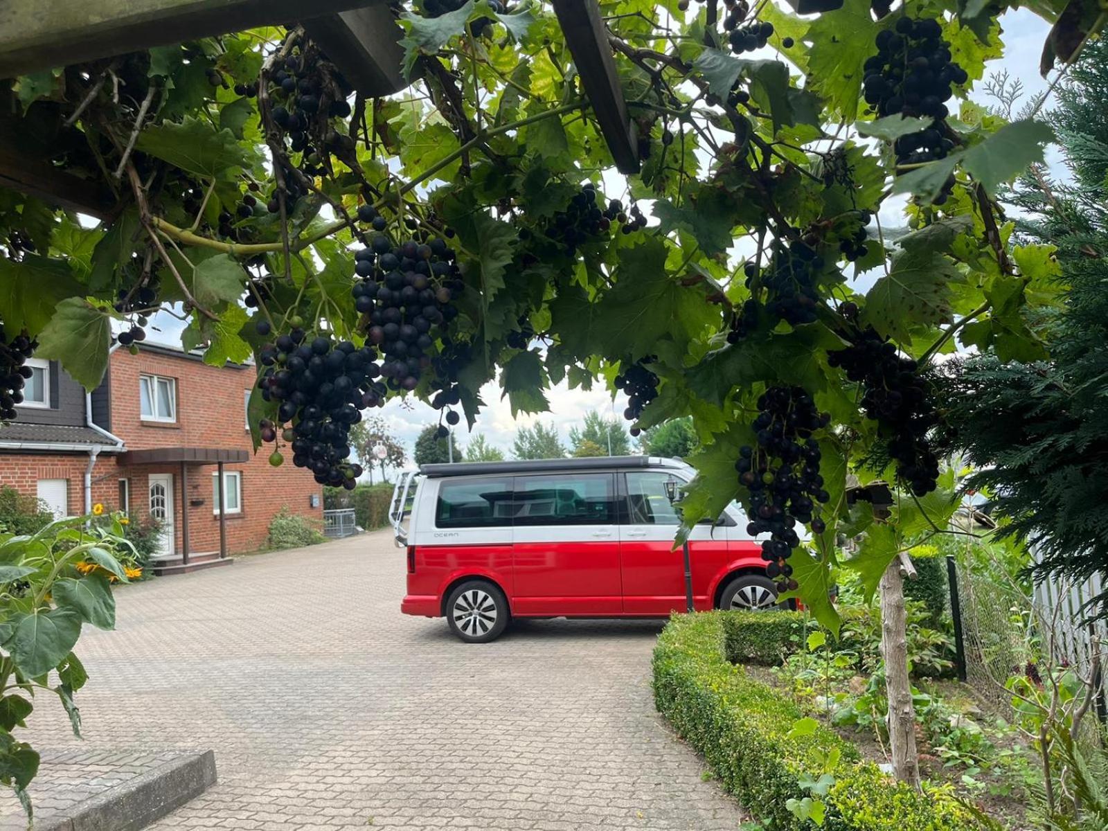Neumuehler Hof- Ferienwohnung "Thomas" 3 Zimmer,3 Baeder Mit Dusche, Kostenfreie Parkplaetze Vor Dem Haus Schwerin  Buitenkant foto
